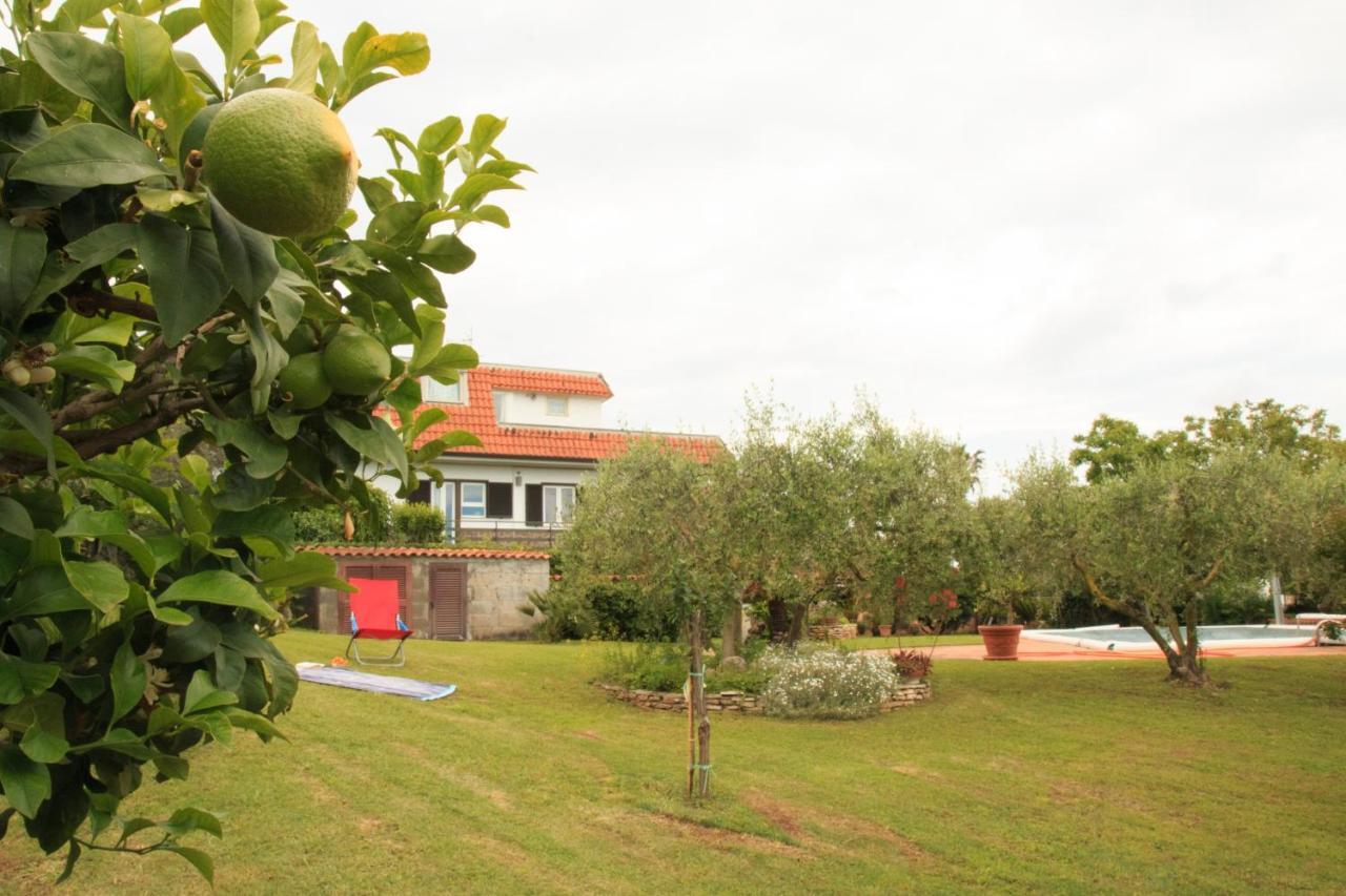 La Casa Di Iole Apartment Cogna ภายนอก รูปภาพ